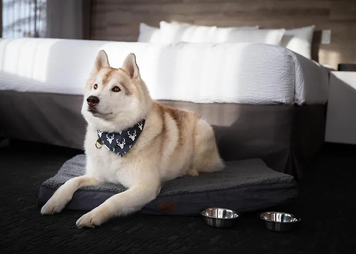 Elk + Avenue Hotel