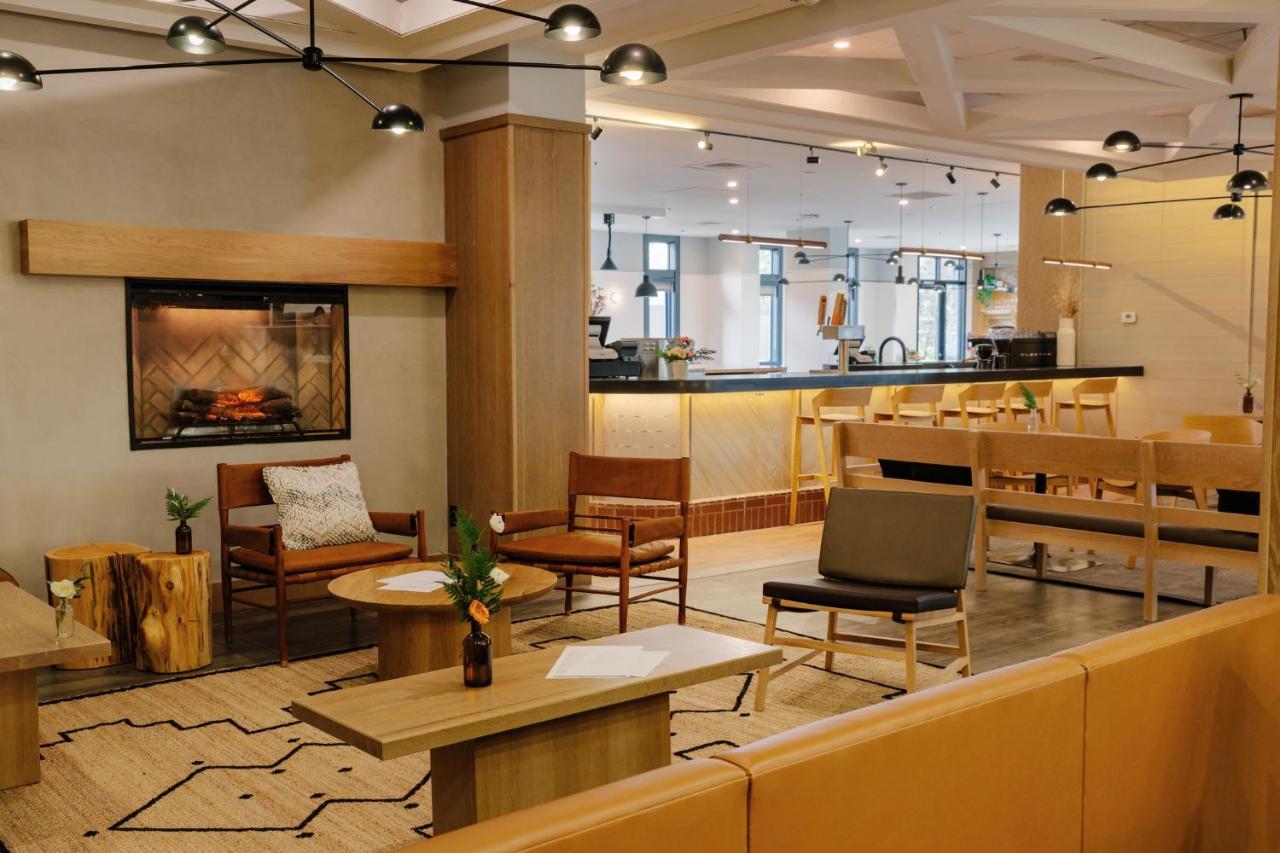 Hotel Elk + Avenue Banff