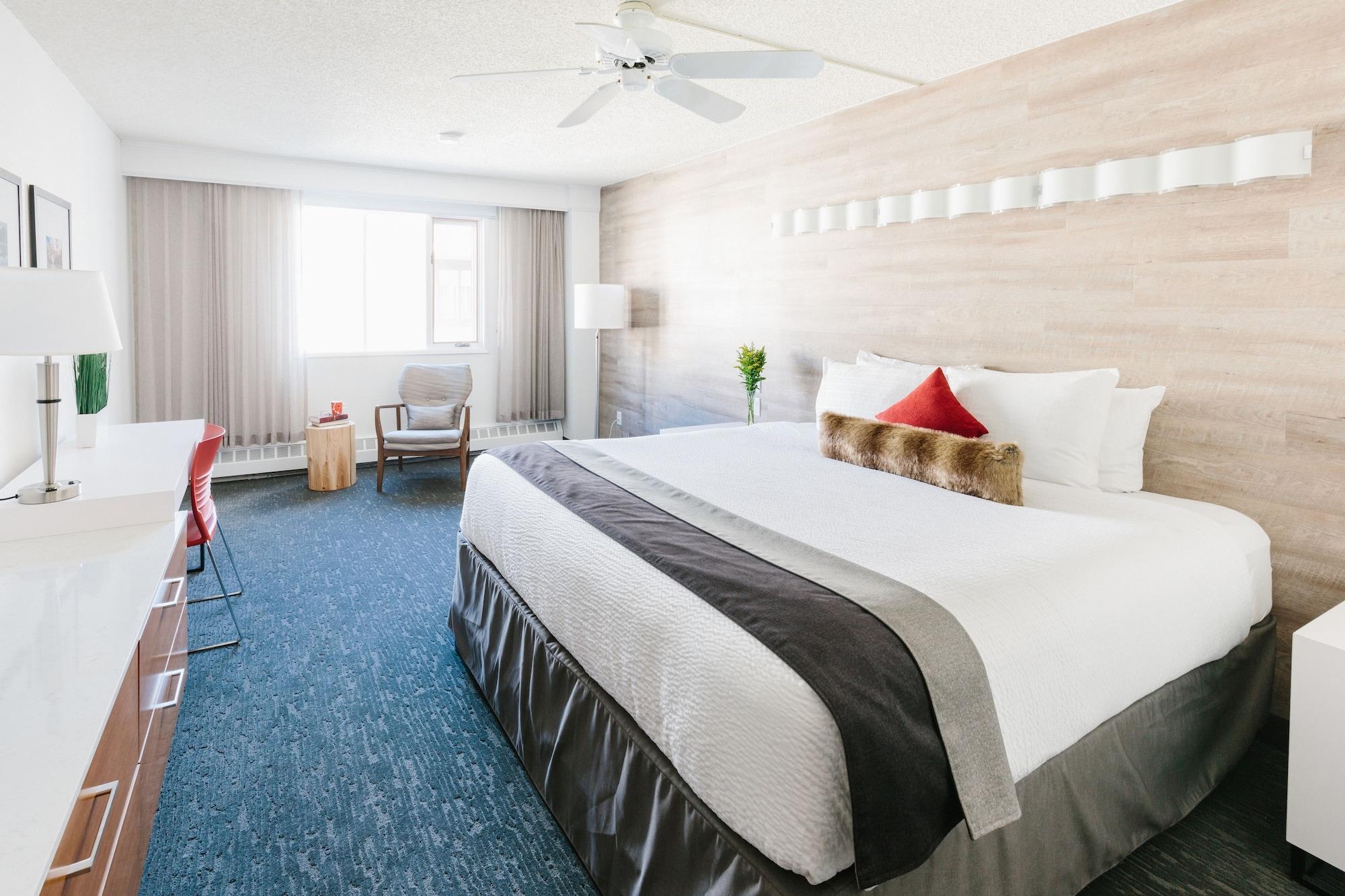 Elk + Avenue 3*