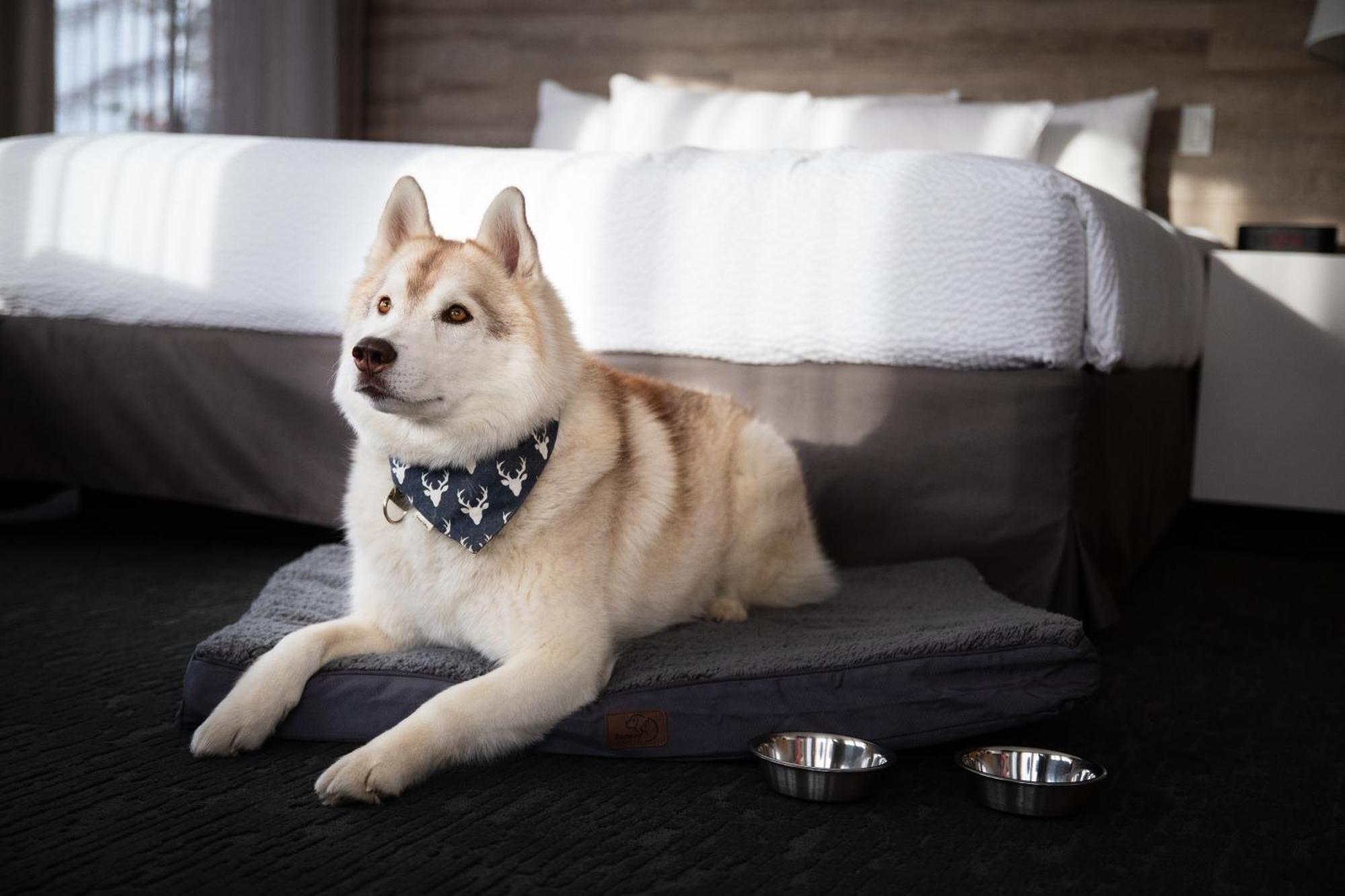 Hotel Elk + Avenue