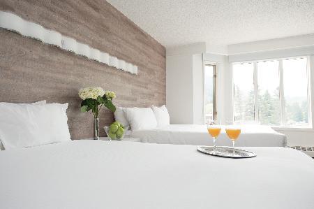 Hotel Elk + Avenue Banff
