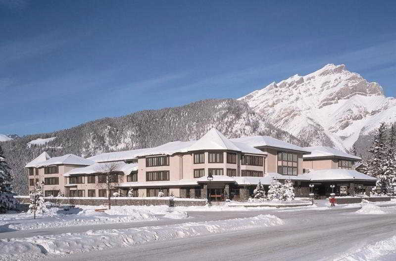 Hotel Elk + Avenue Banff